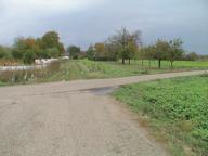 Bild 865