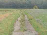 Bild 884